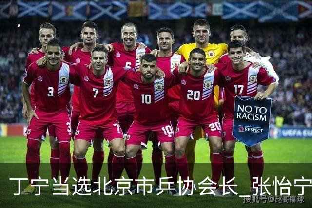 丁宁当选北京市乒协会长 张怡宁当选理事