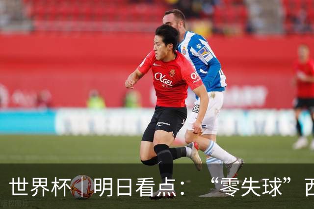 世界杯｜明日看点：“零失球”西班牙能否阻挡比利时一搏