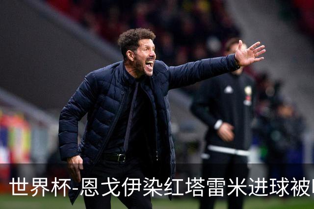 世界杯-恩戈伊染红塔雷米进球被吹 10人比利时0-0伊朗