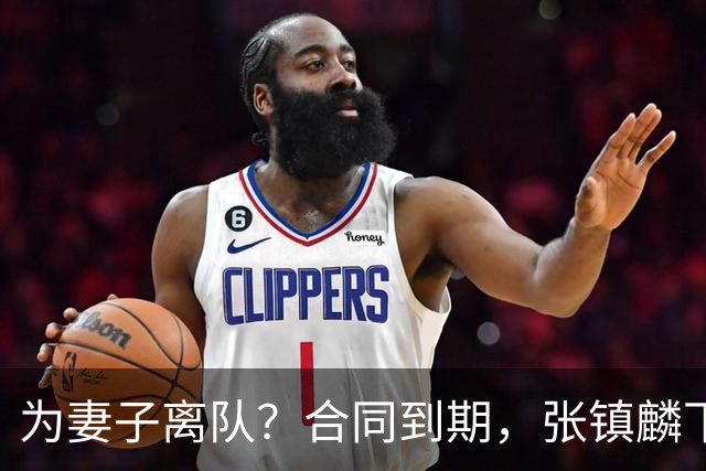 为妻子离队？合同到期，张镇麟下家4选1，广东2队有机会