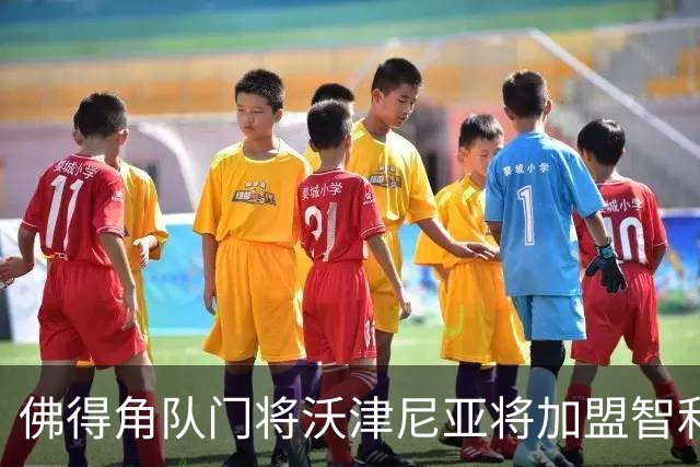 佛得角队门将沃津尼亚将加盟智利科洛科洛俱乐部