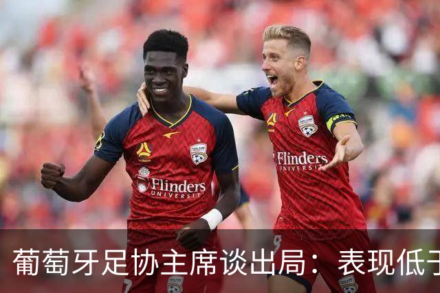 葡萄牙足协主席谈出局：表现低于预期，与球队实力不相称