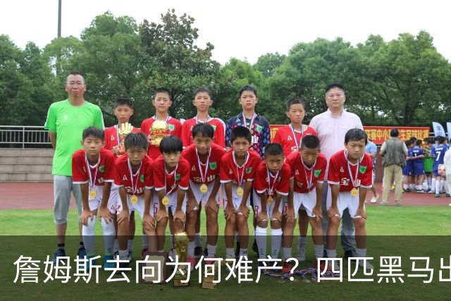 詹姆斯去向为何难产？四匹黑马出现加剧混乱