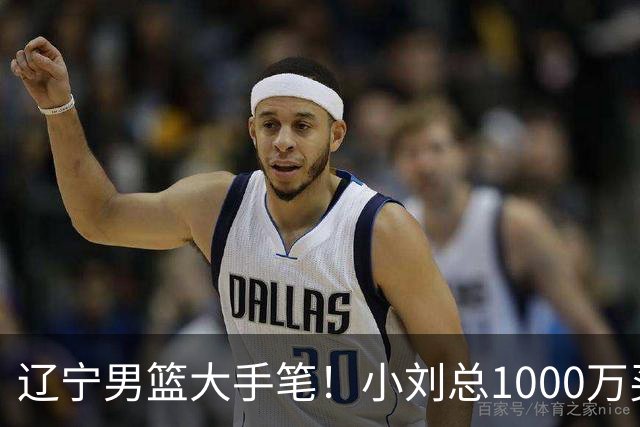 辽宁男篮大手笔！小刘总1000万买断段睿骐，4年B类合同，赵继伟接班人！