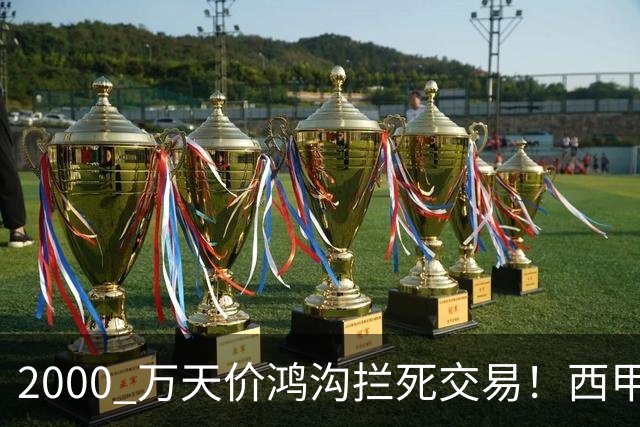 2000 万天价鸿沟拦死交易！西甲豪门全力抢欧洲杯飞翼，终极翻盘悬念拉满